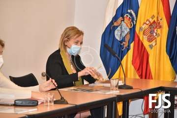 Pleno ordinario de diciembre de 2020/Francisco Javier Santana.